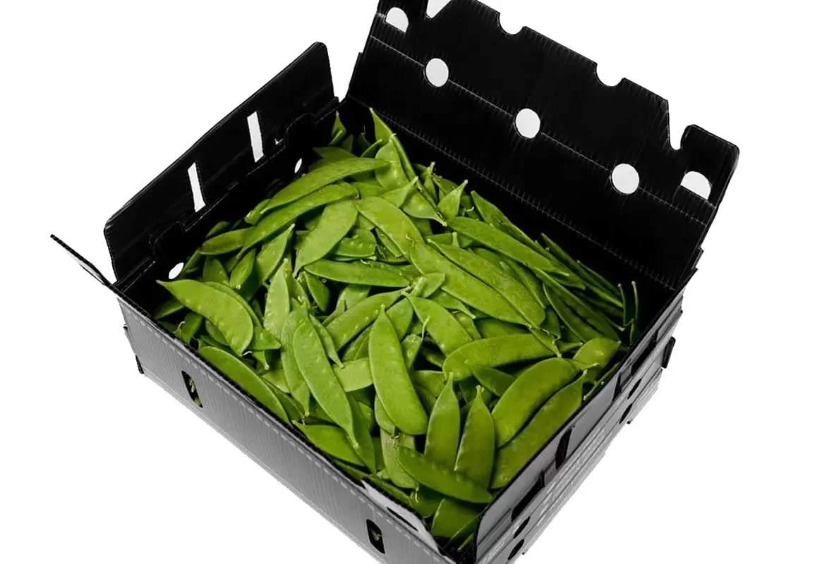 productos-bg-arveja-china2