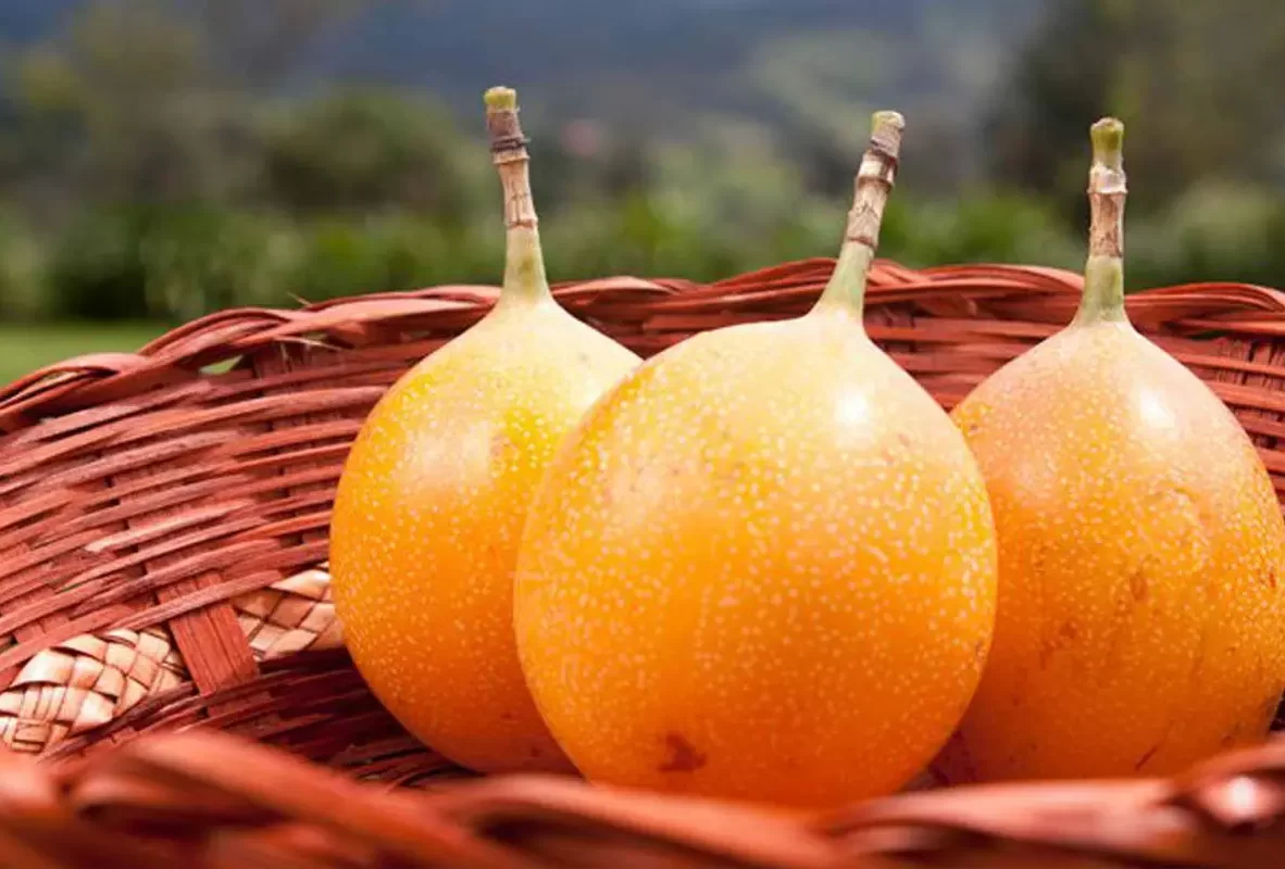 productos-bg-granadilla1