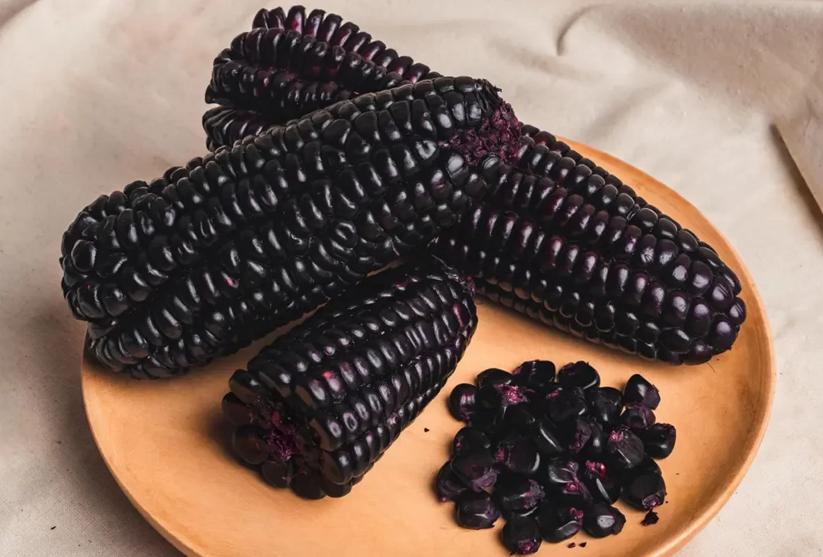 productos-bg-maiz-morado2