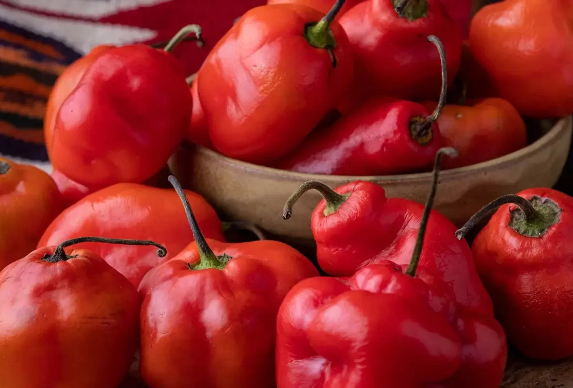 productos-bg-rocoto1